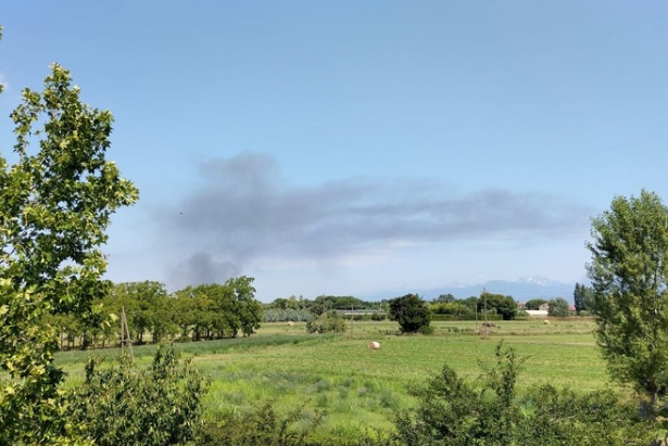 Incendio Migliarino 