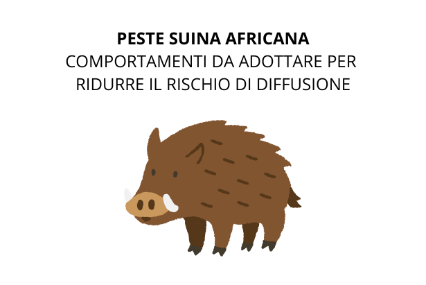 Peste suina africana